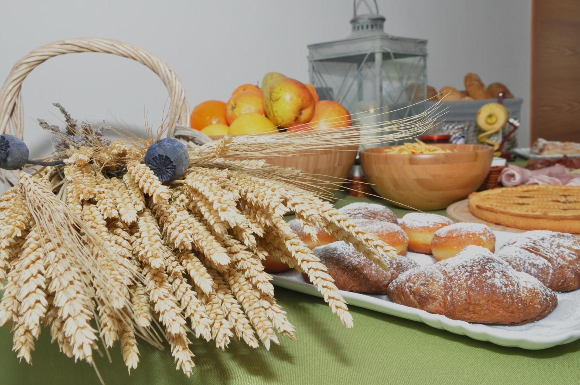 Garni Dal Mozat Bed & Breakfast Lenzumo di Concei Exterior photo